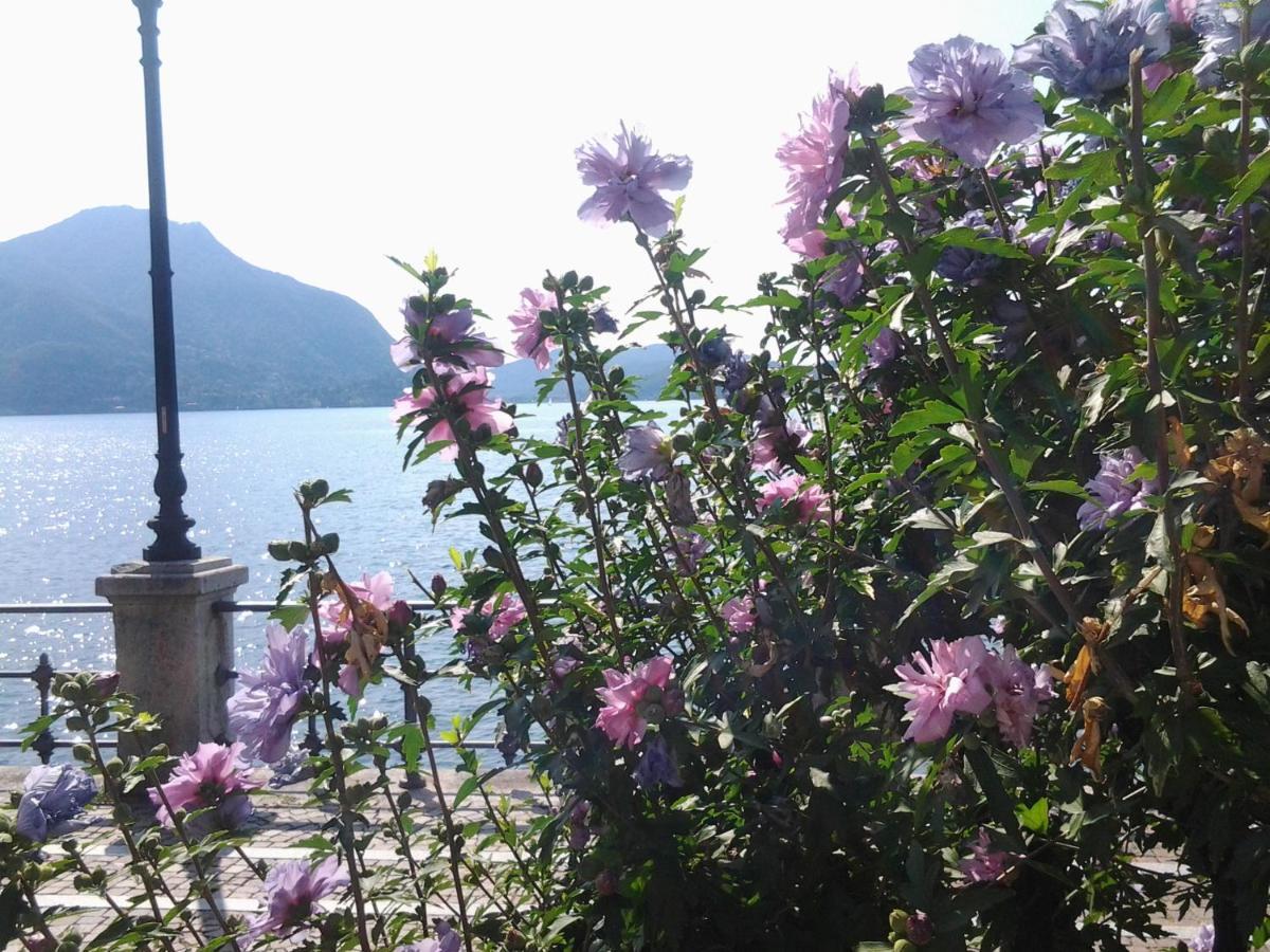 Bed and Breakfast Lontani Da Casa Borgofranco d'Ivrea Exterior foto